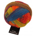 Schoppel Wolle Zauberball Crazy Sock Yarn 